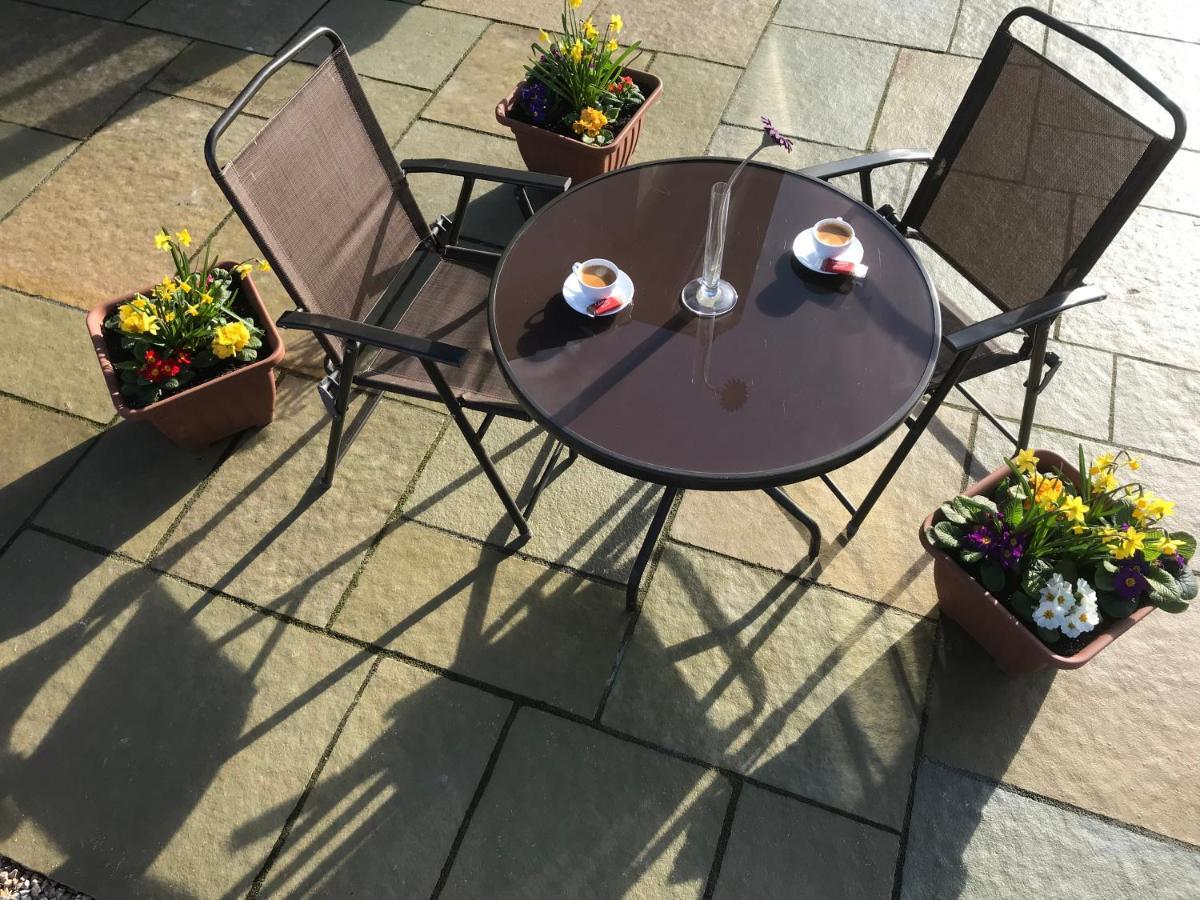 Oak Trees Corner Stylish , Relaxing , Getaway Apartamento Wicklow Exterior foto