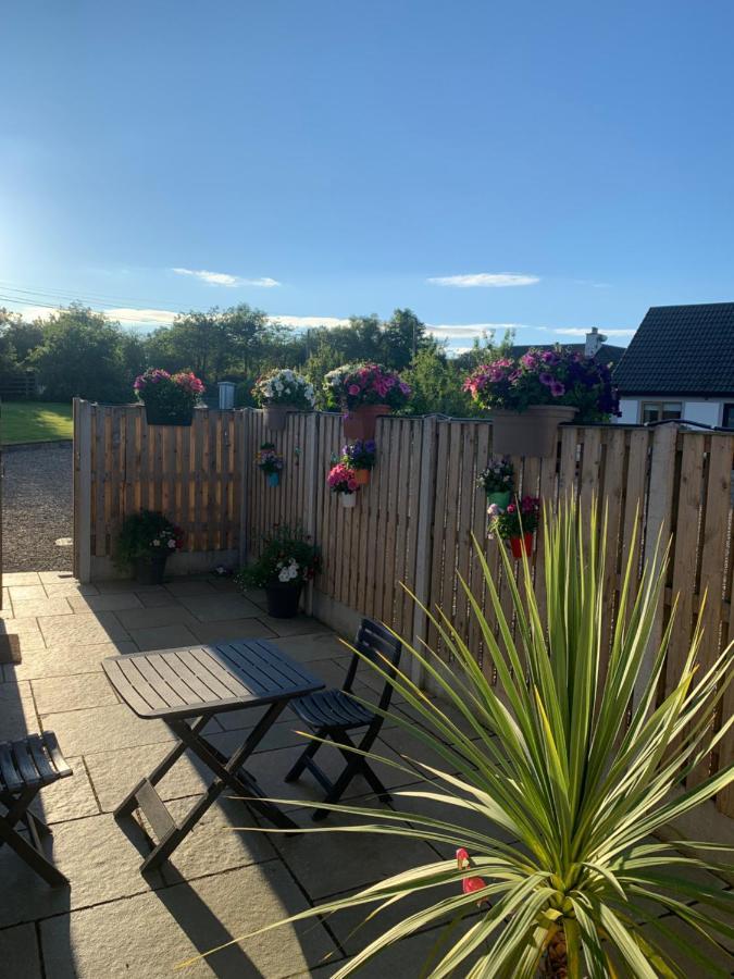 Oak Trees Corner Stylish , Relaxing , Getaway Apartamento Wicklow Exterior foto