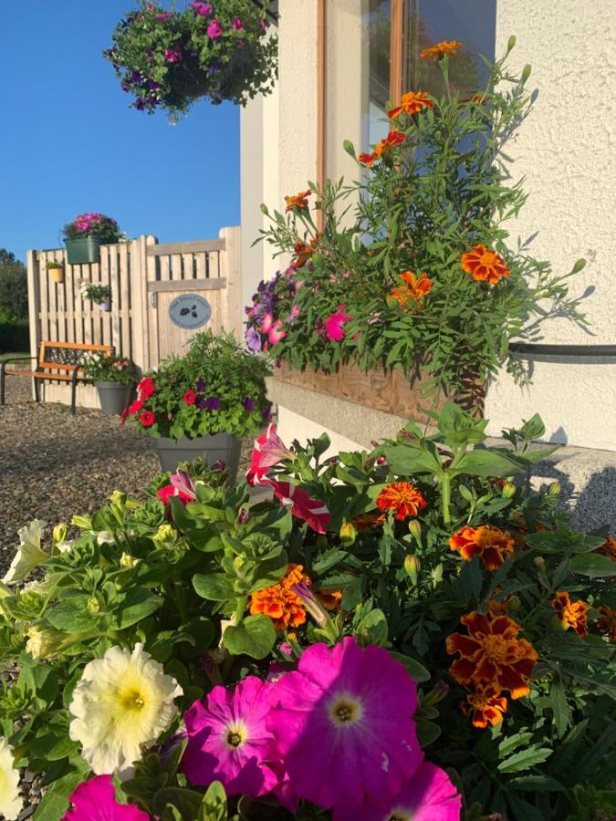 Oak Trees Corner Stylish , Relaxing , Getaway Apartamento Wicklow Exterior foto